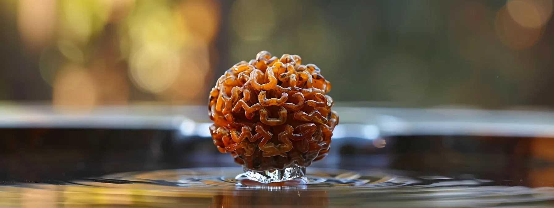 a close-up photo of a gleaming sixteen mukhi rudraksha bead, radiating spiritual energy and connection to hindu deities.