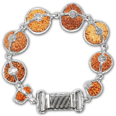 Rudraksha Origins