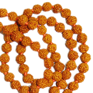 Rudraksha Origins