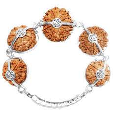 Rudraksha Origins