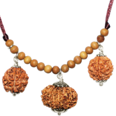 Rudraksha Origins