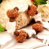 10 Mukhi Rudraksha and Quartz Gemstone Bracelet (Sacral)