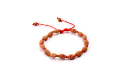 2 Mukhi Moon Rudraksha Bracelet To Removes the malefics of planet moon