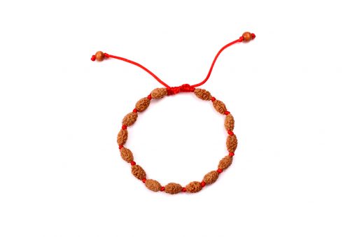 2 Mukhi Moon Rudraksha Bracelet To Removes the malefics of planet moon