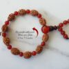 3 Mukhi Mahajwala Bracelet - Carnelian To releases stress and feeling of victimization