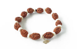 3 Mukhi Mahajwala Bracelet - White Spacer To releases stress