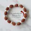 3 Mukhi Mahajwala Bracelet - White Spacer To releases stress