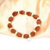 3 Mukhi Mahajwala Bracelet - White Spacer To releases stress