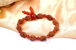 3 Mukhi Mahajwala Bracelet - Carnelian To releases stress and feeling of victimization