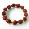 4 Mukhi Brahma Bracelet - To enhances skills and knowledge