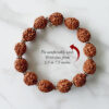 4 Mukhi Brahma Bracelet - To enhances skills and knowledge