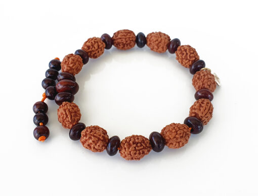 4 Mukhi Brahma Bracelet - Red Sandalwood To removes mental dullness