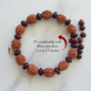 4 Mukhi Brahma Bracelet - Red Sandalwood To removes mental dullness