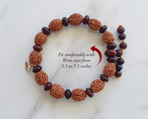 4 Mukhi Brahma Bracelet - Red Sandalwood To removes mental dullness