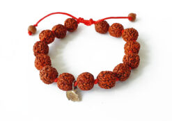 5 Mukhi Guru Bracelet - Chikna For Enhances awareness