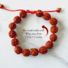 5 Mukhi Guru Bracelet - Chikna For Enhances awareness