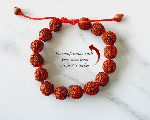 5 Mukhi Guru Bracelet - Chikna For Enhances awareness