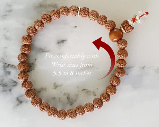 5 Mukhi Guru Bracelet with Sphatik Sumeru for enhances learning, knowledge, awareness and concentration