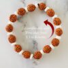 5 Mukhi Guru Bracelet with White Spacer to enhances learning, knowledge, awareness and concentration