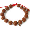 5 Mukhi Rare Rudraksha Bracelet - Semi Chikna - For enhances learning, knowledge, awareness and concentration