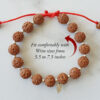 5 Mukhi Rare Rudraksha Bracelet - Semi Chikna - For enhances learning, knowledge, awareness and concentration