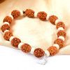 5 Mukhi Guru Bracelet with White Spacer to enhances learning, knowledge, awareness and concentration