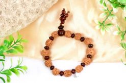 5 Mukhi Guru Bracelet - Red Sandalwood To enhances learning