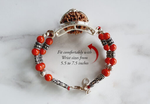 6 Mukhi Collector and Coral Bracelet (Root) - For confidence and courage