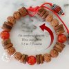 6 Mukhi Rudraksha and Red Carnelian Bracelet (Root)