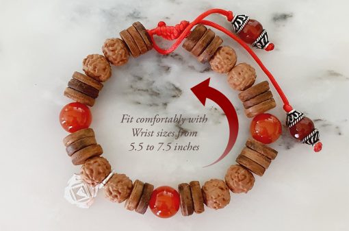 6 Mukhi Rudraksha and Red Carnelian Bracelet (Root)