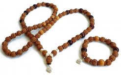 6 Mukhi Skanda Mala and Bracelet Set for Root Chakra to Connects you with inner ability to fight challenges