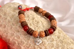 6 Mukhi Rudraksha and Red Carnelian Bracelet (Root)