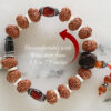 9 Mukhi Rudraksha and Gomed Bracelet for Crown Chakra to Brings positivity, contentment, and gratification of senses to feel the grace of the divine