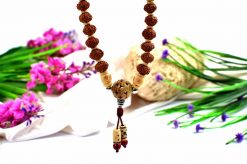 9 Mukhi Rudraksha and Gomed Mala for Crown Chakra to Brings positivity, contentment, and gratification of senses to feel the grace of the divine