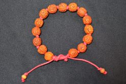 5 Mukhi Guru Bracelet - Chikna For Enhances awareness