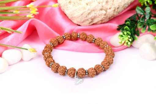 5 Mukhi Rare Rudraksha Bracelet - Chikna To Enhances awareness