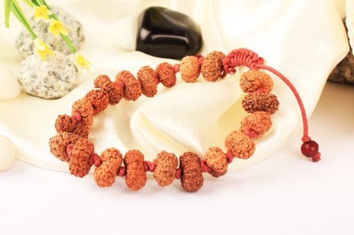 14 Mukhi Rudraksha Mahabali Hanuman Bracelet - Thread