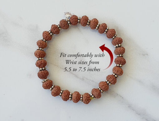 10 Mukhi Rudraksha Krishna Bracelet - Silver Chakri To release fears