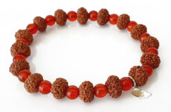 10 Mukhi Rudraksha Krishna Bracelet with Carnelian For blessings of fruitful relationship, happiness and wealth