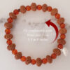 10 Mukhi Rudraksha Krishna Bracelet with Carnelian For blessings of fruitful relationship, happiness and wealth