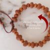 10 Mukhi Rudraksha Krishna Bracelet with Sandalwood For releasing fear and worries