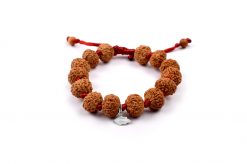 10 Mukhi Rudraksha Krishna Bracelet - Silk Thread To releases fear