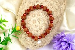 10 Mukhi Rudraksha Krishna Bracelet with Carnelian For blessings of fruitful relationship, happiness and wealth