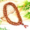 10 Mukhi Krishna Mala with Carnelian For blessings of fruitful relationship, happiness and wealth