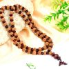 10 Mukhi Krishna Mala - Red Sandalwood