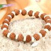 11 Mukhi Rudraksha Ekadash Bracelet - White Spacers For Improves memory