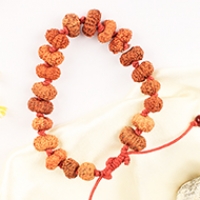 14 Mukhi Hanuman Therapy