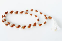 2 Mukhi Rudraksha Mala - Pearl To brings inner bliss and happiness