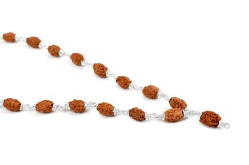 2 Mukhi Rudraksha Moon Mala - 10mm