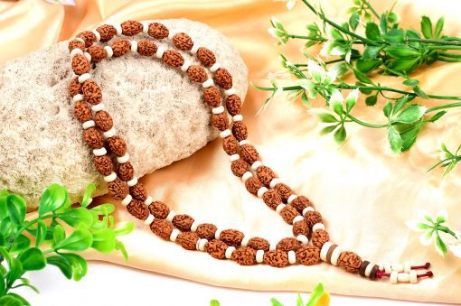 3 Mukhi Rudraksha Mahajwala Mala - White Spacer